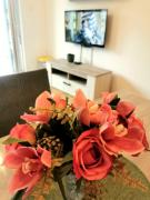 Trajkovic One Bedroom Apartment Trajkovic One Bedroom Apartment