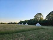 Top Great Sampford