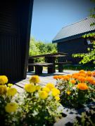 Top Susiec Top Susiec