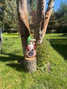 Top Siemiany Top Siemiany