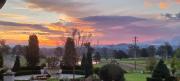 Top Wingham