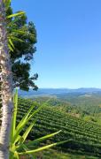 Top Kitzeck im Sausal
