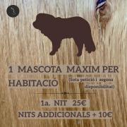 Top Castellar de NʼHug