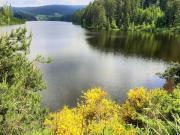 Top Saint-Genest-Malifaux