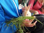 Top Saint-Julien-la-Vêtre