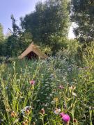 Natuurglamping t Wijland