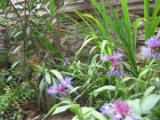 Top Beaumont-de-Lomagne