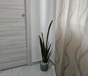 Top Reggio di Calabria