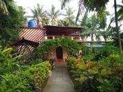Top Nagaon