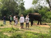 Forests for People Nidikumba Safari