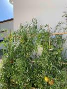 Top Beychac-et-Caillau