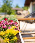 Top Lokets Top Lokets