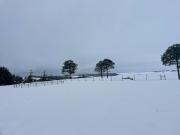 Top Mansfield