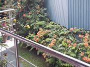 Hillstream Home Stay