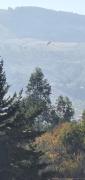 Top Sacaba
