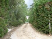 Top Saint-Maximin-la-Sainte-Baume