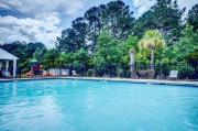 Top Savannah