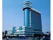 Top Dongying