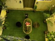Tropical vibes Private, Terrace, Cozy space- Gurgaon and NCR