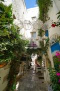 Top Ostuni