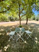 Top Szentkirályszabadja