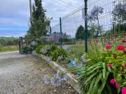 Top Castiello de la Marina