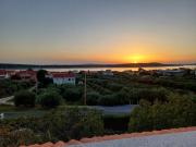 House Olive tree - apartments with sea view