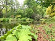 The Loft at Ash Beacon - Gorgeous 2 bed, hideaway in lovely private grounds