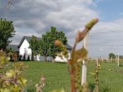 Domki w Winnicy - Świętokrzyska Winnica Knapów