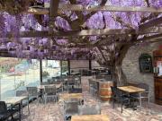 Top Argelès-sur-Mer