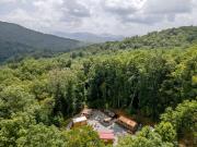 Top Sylva