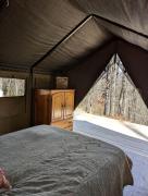 Top Sylva