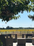 Roulotte équestre de la Trinacria