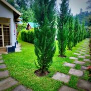Paradise Farm Cottages by MOKAWA, Nyeri
