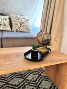 Studio with TERRACE - city center