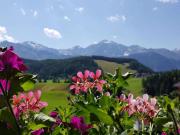 Edelweiss Riding stable Alpine Appart