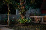 Top Munduk
