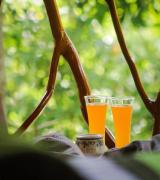 Natural Mountain Cottage