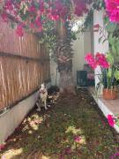 Top San José del Cabo