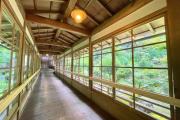 Top Koyasan