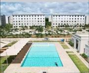 1255 Palm Ridge Estate