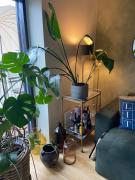 Contemporary and Luxurious