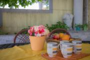 Apartments Timea Apartments Timea