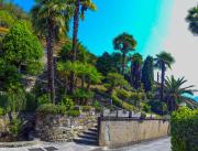 Top Maccagno Inferiore