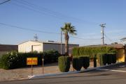 Top Lemoore