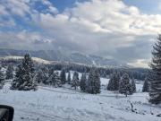 Top Poiana Brasov
