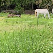 Top Saint-Nicolas-de-la-Grave