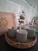 Crown House Studio Apartment