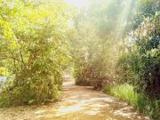 Coastal Bliss New Brighton Eco Pod 50m to Beach