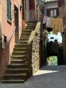 Top Capranica Top Capranica